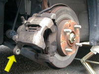 ���ł��ł��鋉�B