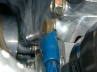 �I���^�l�[�^�E�V�����_�w�b�h��