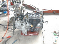 ���̂��`�B