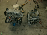 �悭���G���W���ł����B