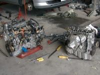 �n�C�J������ւ��B