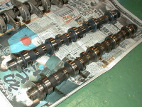 �n�C�J���B