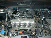 �ז��ȕ��Ƃ��ς炢�B