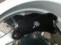 �M���M����Ȃ��B