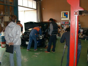 フルノーマル。