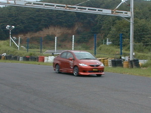 プシュプシュ言っていました。